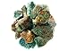 Hypnotic Gems Materials: 1 lb Bulk Rough Chrysocolla Stones from Madagascar - Raw Natural Crystals for Cabbing, Cutting, Lapidary, Tumbling, Polishing, Wire Wrapping, Wicca and Reiki Crystal Healing