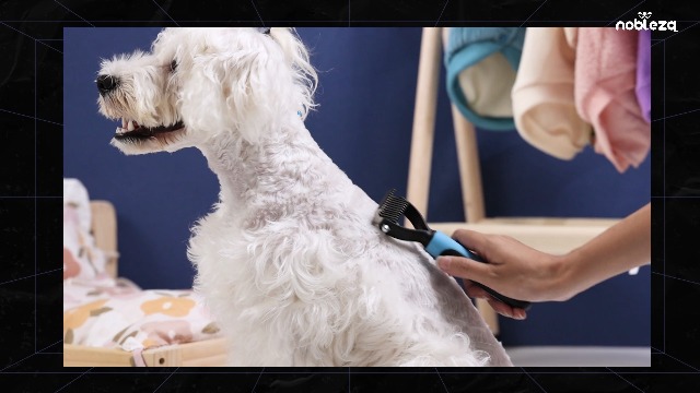 Nobleza Brosse Pour Chien Et Chat Pour Poils Longs, Peigne Pour Animaux, Râteaux De Toilettage Professionnel,Accessoire Toilettage Chiens Chats Pour Démêlage Nœuds Des Poils, M