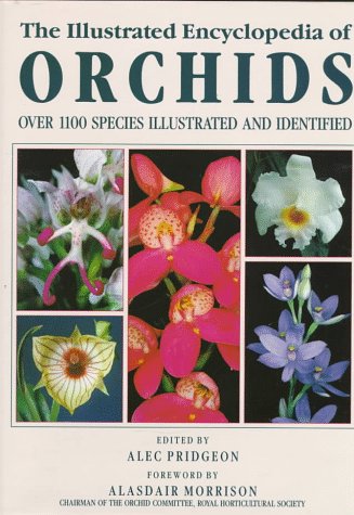 The Illustrated Encyclopedia of Orchids The Illustrated Encyclopedia of Orchids