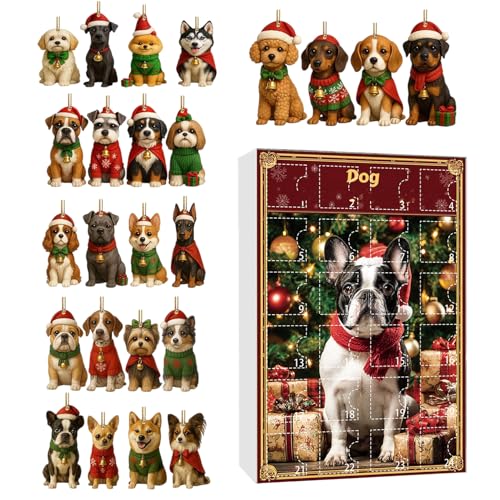 NX}XJ_[ - 2DAN̑Ahxg - 24Ԃ̃NX}Xc[̃I[ig | xAAhAAǁAp[eB[p