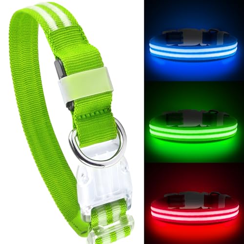 Feycig Leuchthalsband Hund USB Aufladbar - LED Hundehalsband Leuchtend Wasserdicht Leuchtendes Hunde Halsband Einstellbare für Kleine Mittlere Große Hunde, 3 Modi