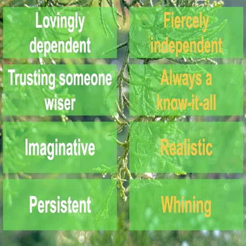 Prayer changes my maturity