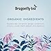 Dragonfly Cape Malay Rooibos Chai Organic 20 Teabags (Pack of 4, Total 80 Teabags)