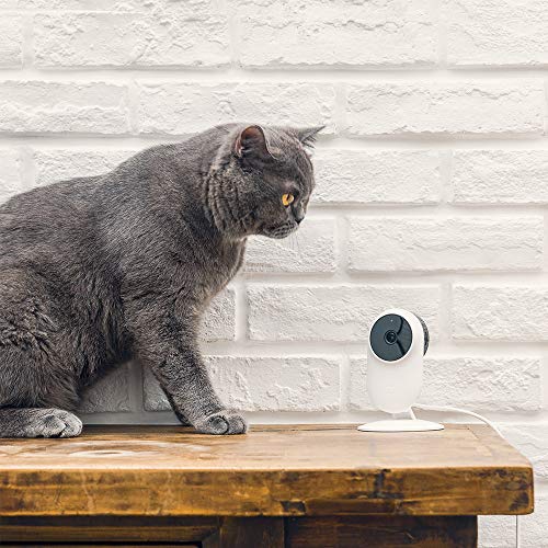 Camera Xiaomi Mi Mijia 1080p Smart Home Wifi Bluetooth