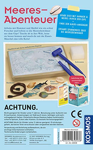 KOSMOS 658038 Meeres-Abenteuer, Grabe die Tiere aus dem versteinerten Meer frei. Mit Muschel-Kettenanhänger, Experimentierset für Kinder ab 7-10 Jahre, Deko, Schmuck, Mitbringsel, kleines Geschenk – Bild 3