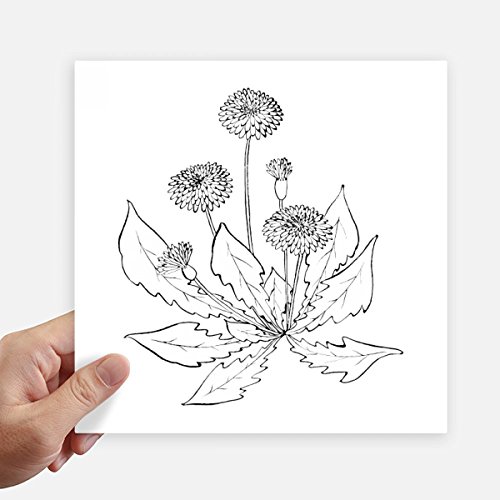 Vinilo de diente de león negro flores blancas calcomanía pared 4 uds 2