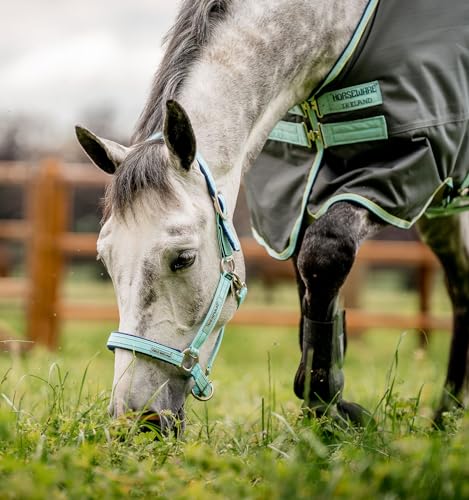 Licol Fieldsafe Horseware pour sécuriser les sorties au paddock de votre cheval