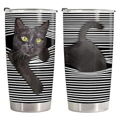 Black Cat Hide And Seek