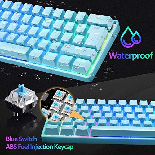 60% Mechanical Gaming Keyboard Mini Portable with Rainbow RGB Backlit Full Anti-Ghosting 61 Key Ergonomic Metal Plate Wired Type-C USB Waterproof for Typist Laptop PC Mac Gamer (Blue/Blue Switch) - 3