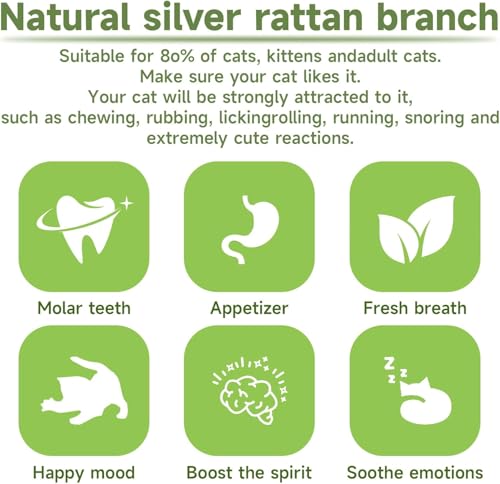 Simsky Katzenminze Sticks für Zahnpflege, 6 Stück, Kausticks für Katzen Zahnstein & Mundgeruch intelligenzspielzeug (Grün)