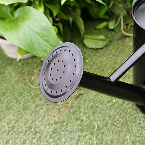 yourjoy Galvanized Metal Watering Can with Long Spout, 4L One Gallon Watering Can for Outdoor Indoor House Garden Plants, Black