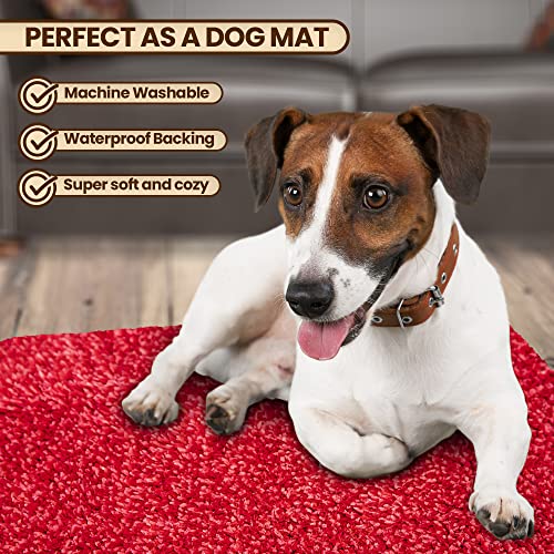 Image of Microfiber Door Mat 20 inchx30 inch - Non-Slip Washable Entryway Rug