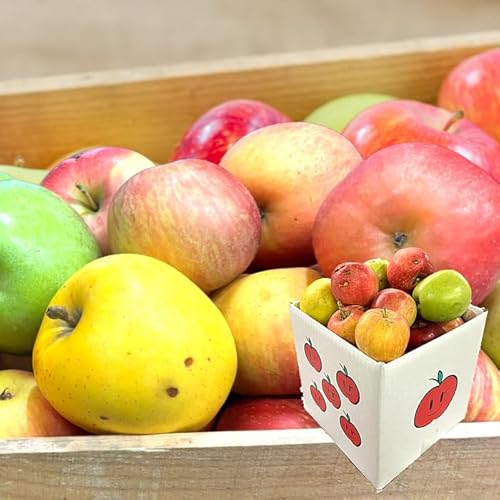 | YnI i킨܂ 󂠂  5kg(Hp)