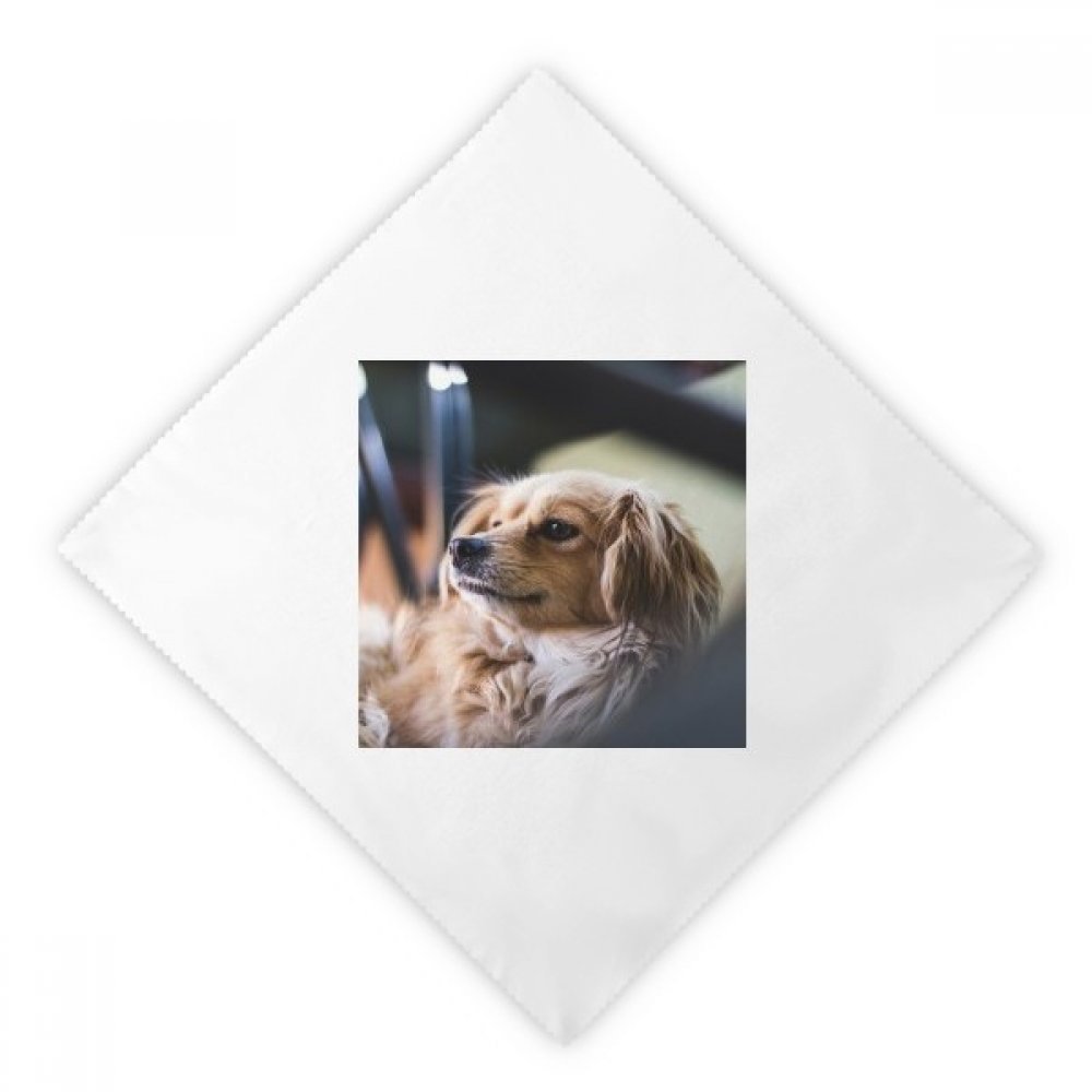 Serviettes en tissu Chien Petit Animal lot de 2 en blanc réutilisable 47x47 cm