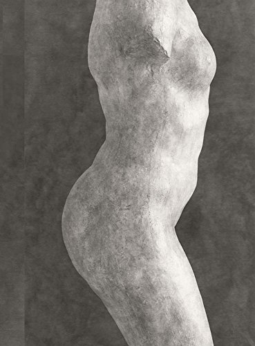 Rodin: Photographs by Emmanuel Berry (Beaux livres)