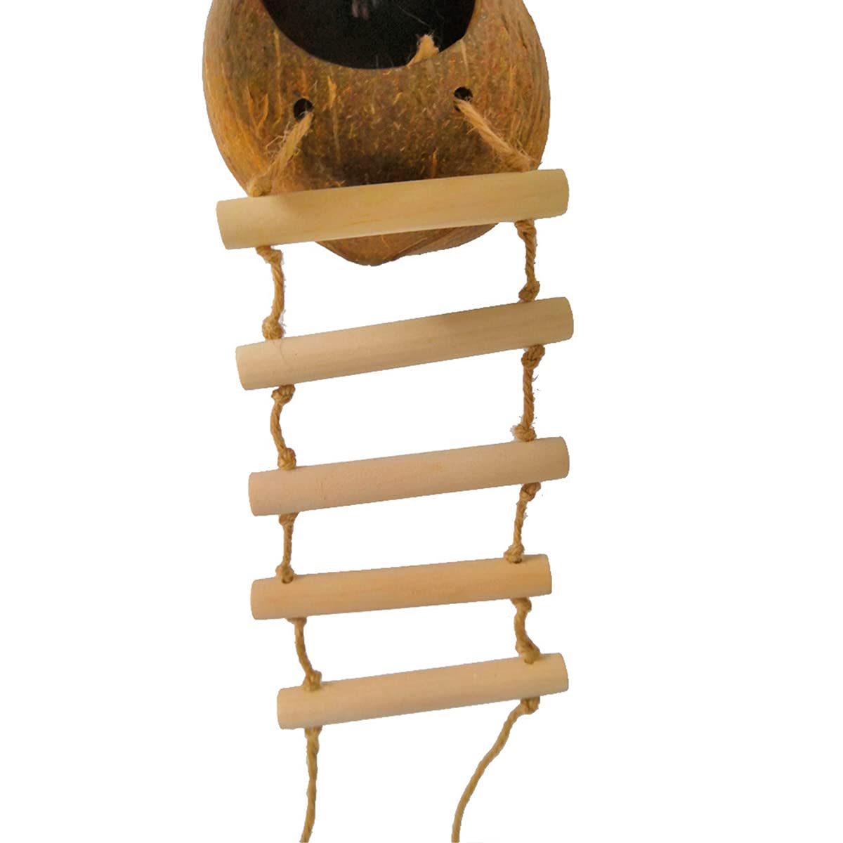 Kokosnuss Vogelhaus Handarbeit - Natürliches Futterhaus Mit Leiter Für Gartenvögel