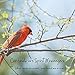 Jesse Janes Jewelry | Red Cardinal Bracelet For Women, When Cardinals Appear Your Loved One Is Near, Memorial Charm Bracelet, Cardinal Gifts, Grief Jewelry For Women, Charm Bracelets Grief Gifts