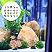 DECHOUS 20Pcs Artificial Fish Tank Plants: Mini Plastic Aquarium Plants Decoration - Water Grass Fish Tank Accessories, Mixed Style, 1.96 x 0.98 x 0.98 Inch