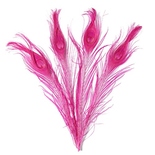 Feathers,plume,Hgshow 20 Pcs Bleached & Dyeing peacock feather 10-12 inches