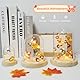 Auting Herbst Dekoration,LED Lichterkette 2M 20LED Kürbis Ahornblätter Eichel lichterketten herbst deko Batterie mit Timer, Herbst Lichterketten Innen for Herbst Deko Erntedankfest und Party Deko