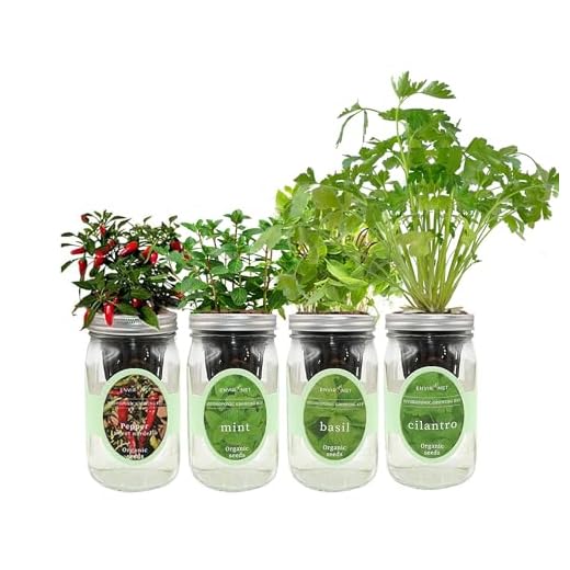 Hydroponic Mason Jar Indoor Garden Kit