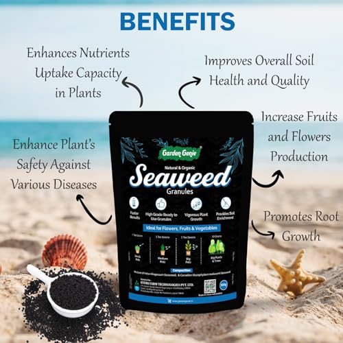 Image of Garden Genie Seaweed Extract Granules for Plants 900 Gm | Organic Fertilizer and Growth Promoter for All Indoor, Outdoor Home Garden Plants