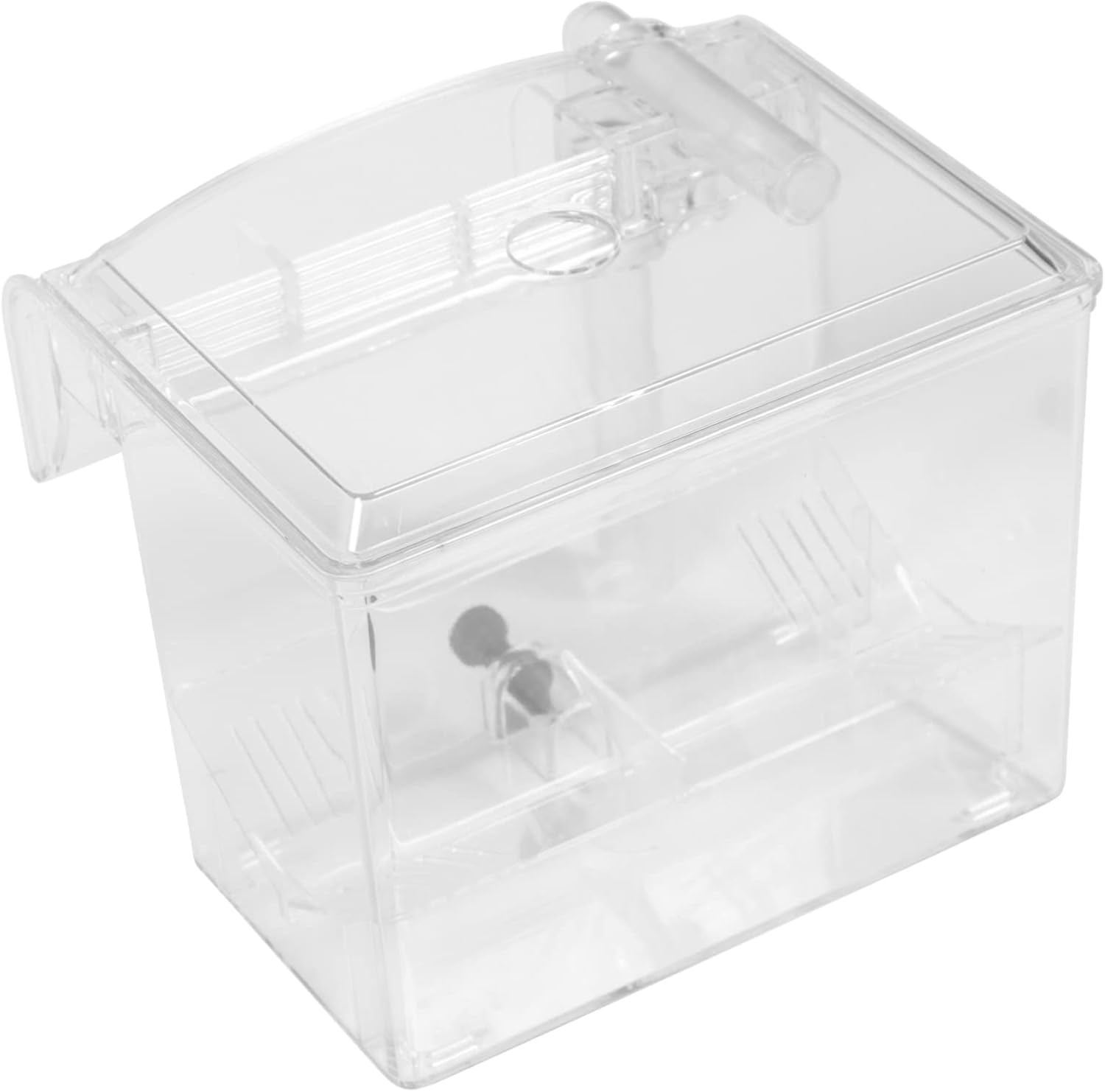 Angoily 1pc External Hanging Fish Isolation Box Breeding Hatchery Incubator for Aquariums Easy to Use Fish Tank Breeder Box for Isolating