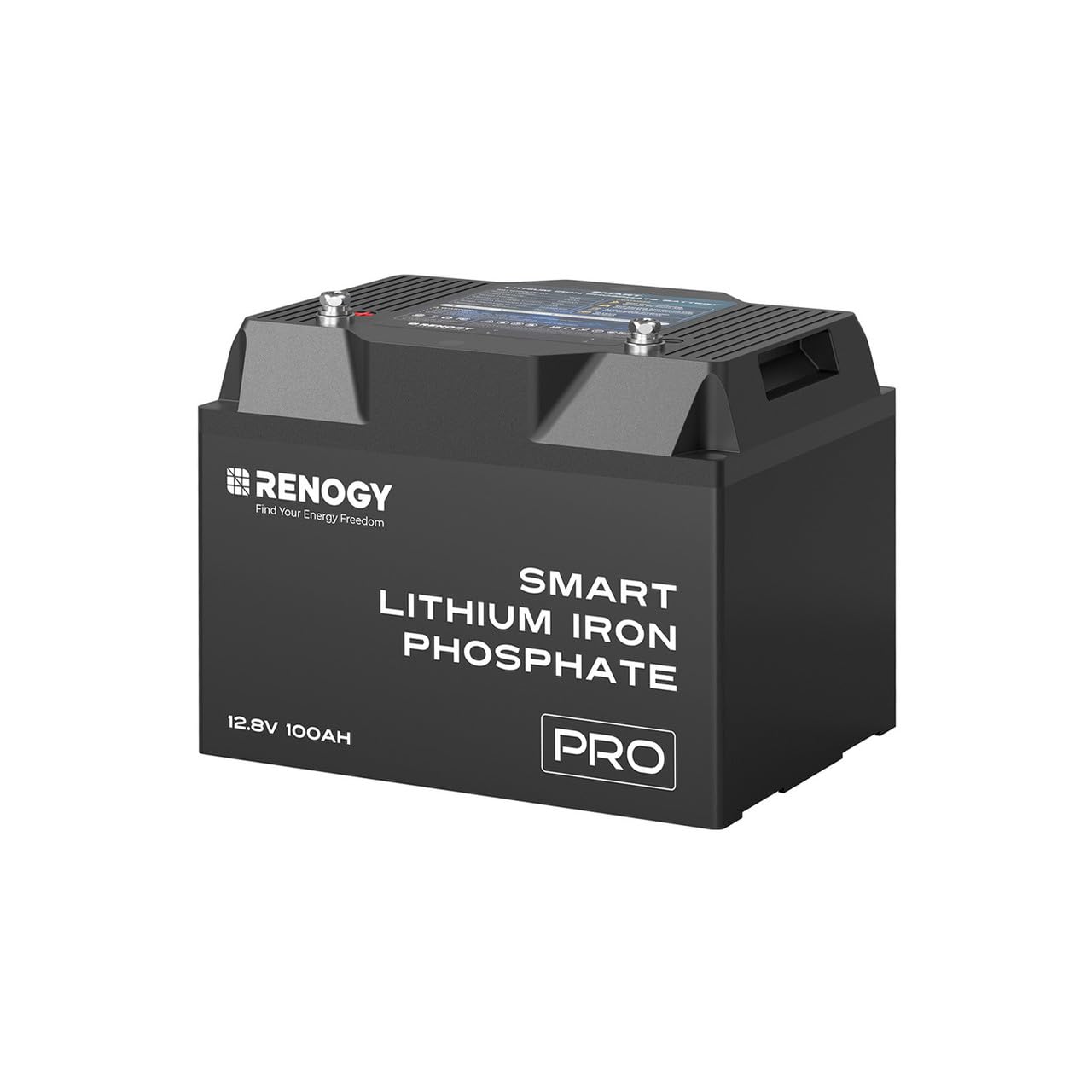 Renogy 12V 100Ah Pro Lithium Lifepo4 Battery, w/Bluetooth & Self Heating Deep Cycle Battery, dust-Proof IP67, 5000+Deep Cycles, Backup Power for RV, Cabin, and Marine Applications