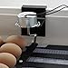 HovaBator Deluxe Egg Incubator Combo Kit
