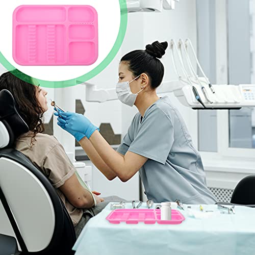 Healifty Instrument Tray Dental Dentist Instrument Tray Autoclavable Tray Plastic Tray Divided Separate Tray Pink #TOP7