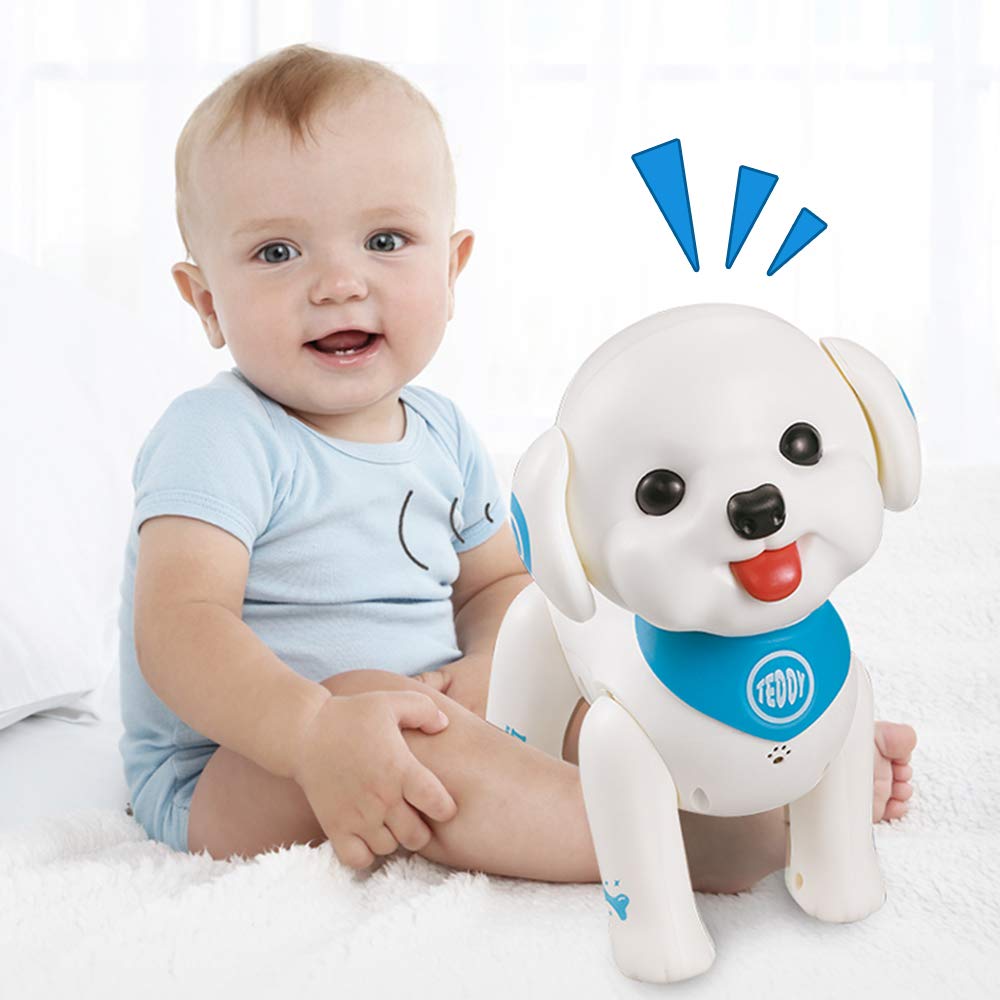 teddy robot dog