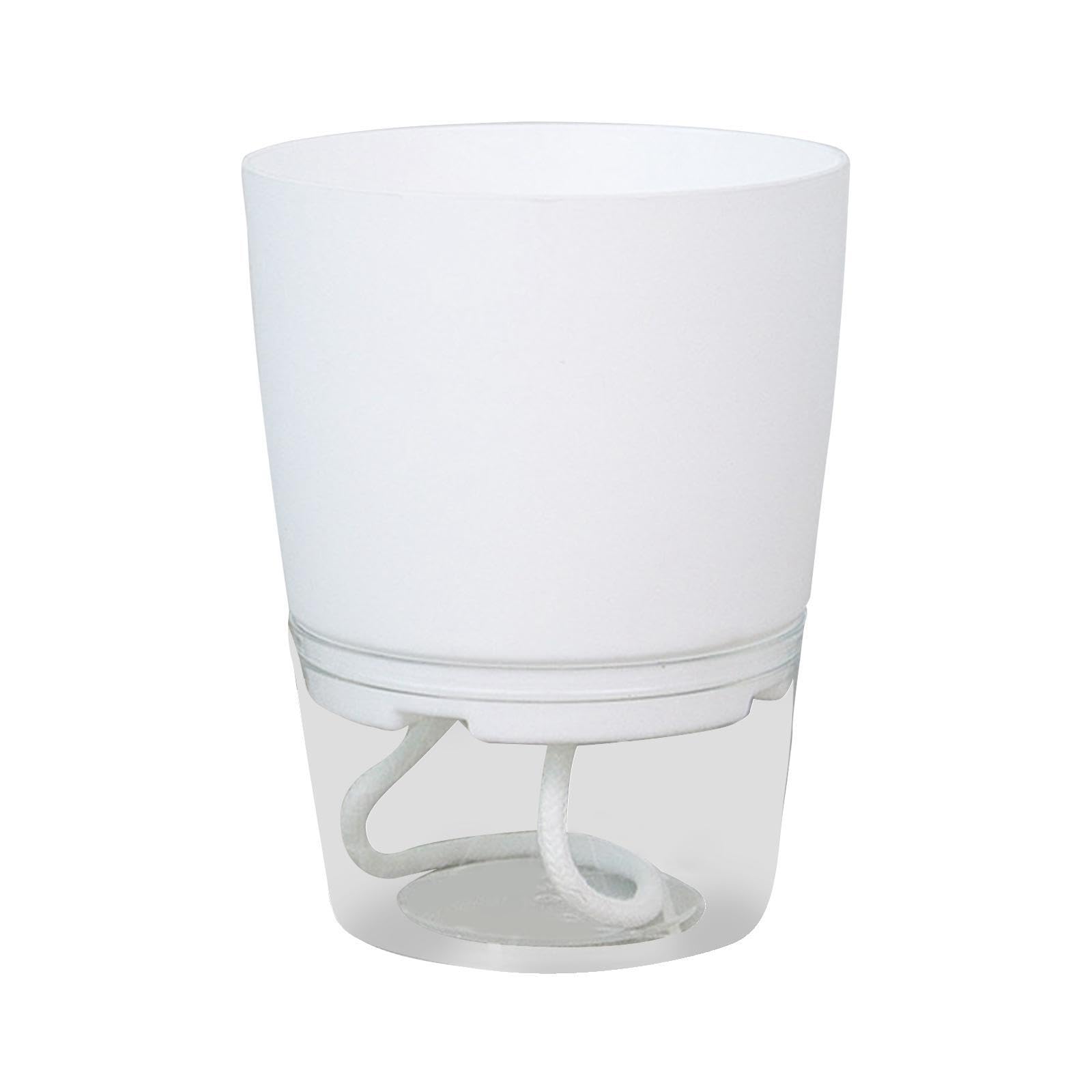 QUILSTM Unique Clear Flower Pot Designed To Indoor Plants Watered With Minimal Effort And Maximum Style Spider Clear Planter Flower Pot Soilless Water Absorbing