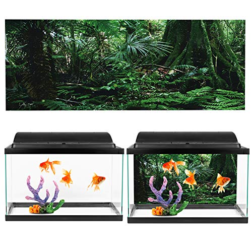 Leyeet Aquarium Achtergrond Sticker, PVC Reptiel Doos Regenwoud Achtergrond Poster Fish Tank Muur Foto Schilderen… - Afbeelding 6