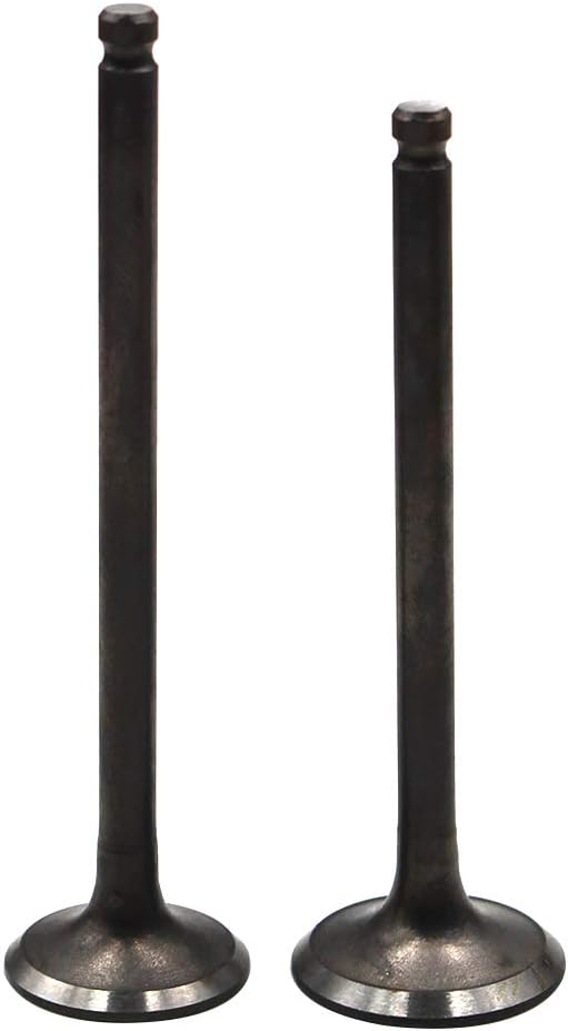 Road Passion Engine Intake & Exhaust Valve stem & Oil seal Replacement for Kawasaki EL250 Eliminator 250/252 /EX250 Ninja 250 /EX250 GPX250R /KLE250 Anhelo