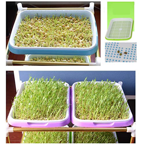 Hemoton Bandeja de germinação Blue Sprouter para planta e berçário, bandeja de germinação, cultivado