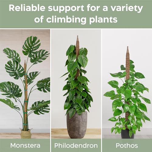 image for K-Brands 2 Pack 63'' Bendable Moss Pole Monstera Plant Support for Lar