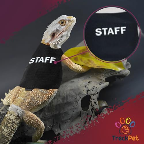 TRECKPET Pacote com 2 trelas de dragão barbudo premium e conjunto de arreios - fantasia e roupas par