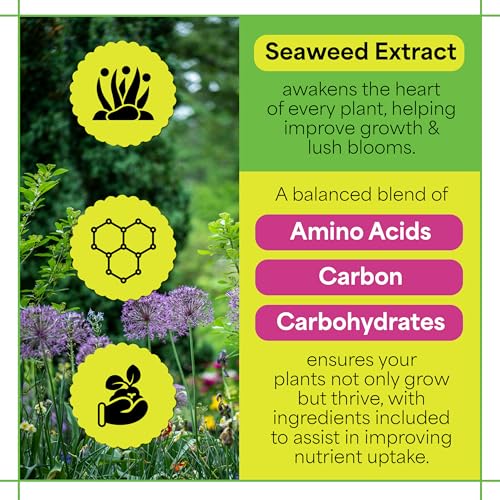 Fertilizante Grow More Sea Grow Flower & Bloom 3 lbs miniatura 3
