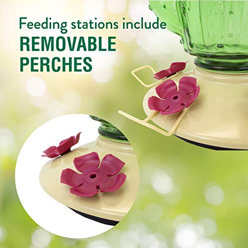 Perky-Pet 9111-1SR Cactus Top Fill Glass Hummingbird Feeder with Built-in Bee Guards & Removable Perches - Image 4