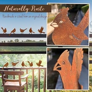 5PCS Rusty Birds Decoration, Fence Decorations Outdoor, Metal Birds Yard Decor Perfect Yard Art and Large Outdoor Ornaments, Cardinal Gifts 5PCS Rusty Birds Decoration Fence Decorations Outdoor Metal Birds Yard Decor Perfect Yard Art and Large Outdoor Ornaments Cardinal Gifts
