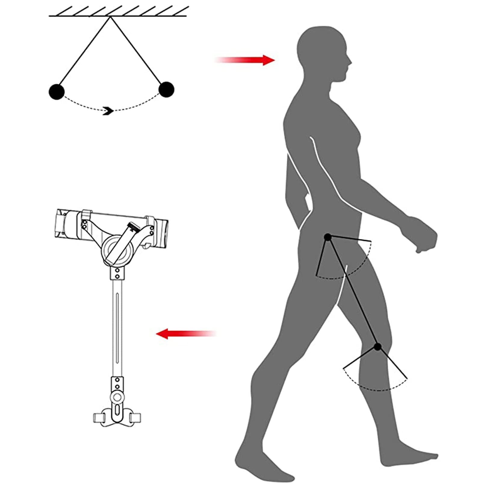 Ausili for la camminata bionica a 3 velocità con forza regolabile(Left Leg,S)