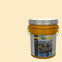 Vista 88 de Rodda Paint CASCADIA ZERO Interior Semi-Gloss Paint & Primer in One, Quart, Gold Tweed