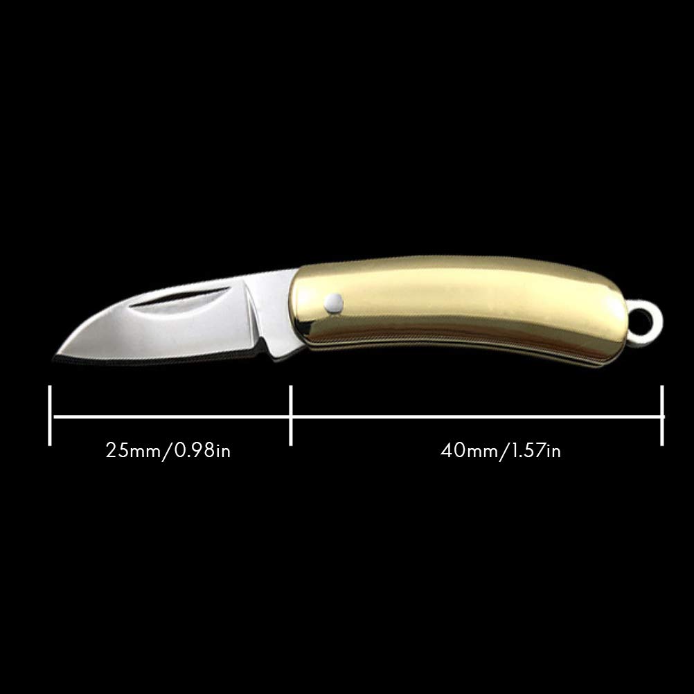 Mini Cuchillo Llavero Multifuncional pequeño Bolsillo Plegable Pluma Cuchillo Llavero Cuchillo de Supervivencia