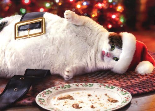 Santa Cat With Cookies - Avanti Funny Box of 10 Christmas Cards