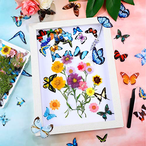 Set de Pegatinas Naturales Flores Secas Presionadas y Mariposas miniatura 6