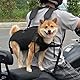 Ziyonix Haustier-Tragerucksack mit Tragegriff, Hunde Hebegeschirr, Hundeschlinge für Ältere Hunde, Hund Notfallrucksack Unterstützung für Ausritte Reisen Wandern Radfahren Motorradfahren (M)