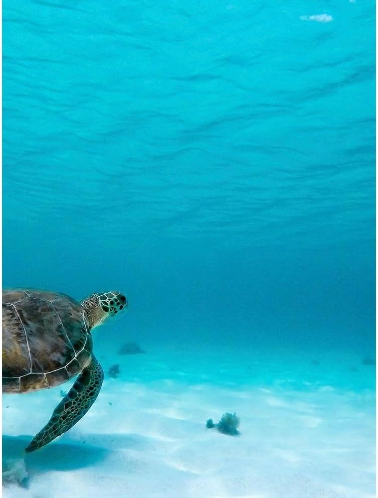 ArtDirect Wildlife 16 Unframed Art Print Giclee Poster by Lee, Rachel - Ready for Framing with Customization Sizes 8x10, 11x14, 15x20, 24x32, 36x48, and 45x60 Inches