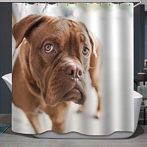Funny Dog Shower Curtain,The Dog Appearance of Doing Something Wrong Funny Looking at You Polyester Cloth Print Bathroom Curtains Include Hooks Set 72〃w by 72〃L(S2281) Cover