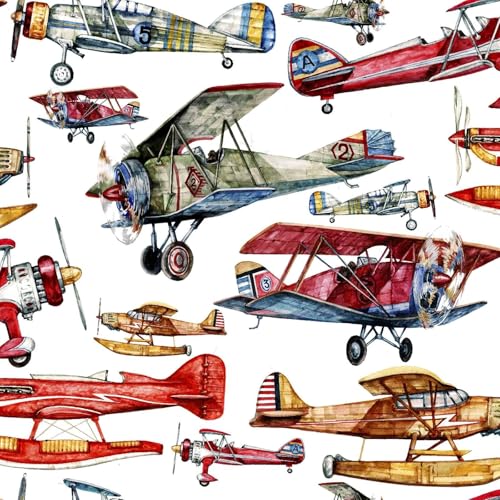 First in Flight First in Flight Cotton Fabric by The Yard