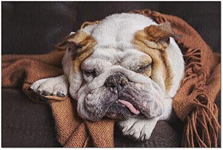 English Bulldog Sleeping on Couch Photography A-90753 (1000 Piece Premium Puzzle, Made in USA)